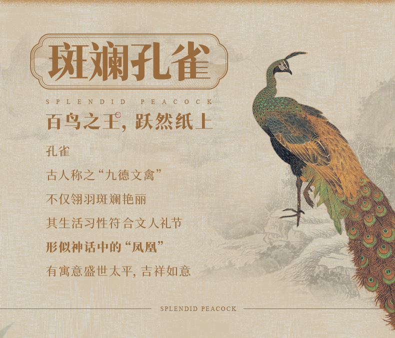詳情頁_斑斕孔雀_03.jpg