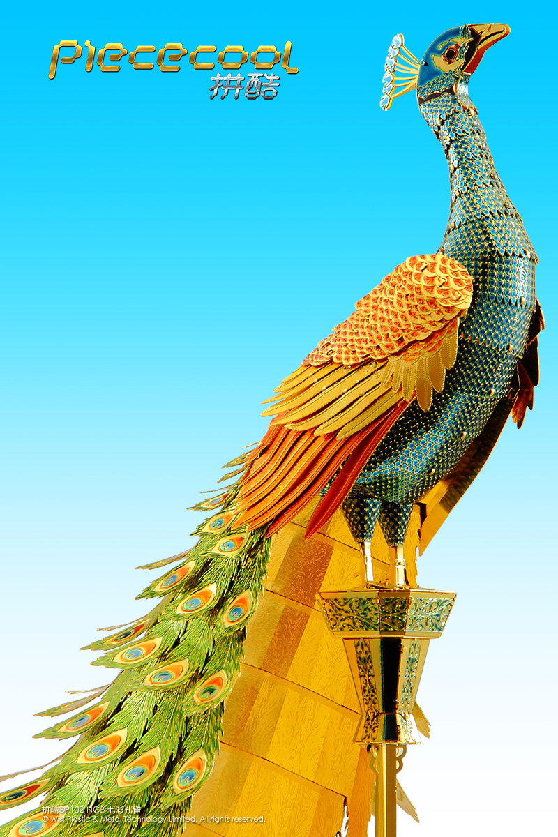 P102-NGB 七彩孔雀-P2.jpg