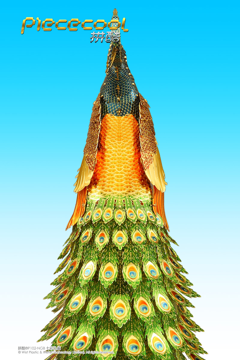 P102-NGB 七彩孔雀-P12.jpg