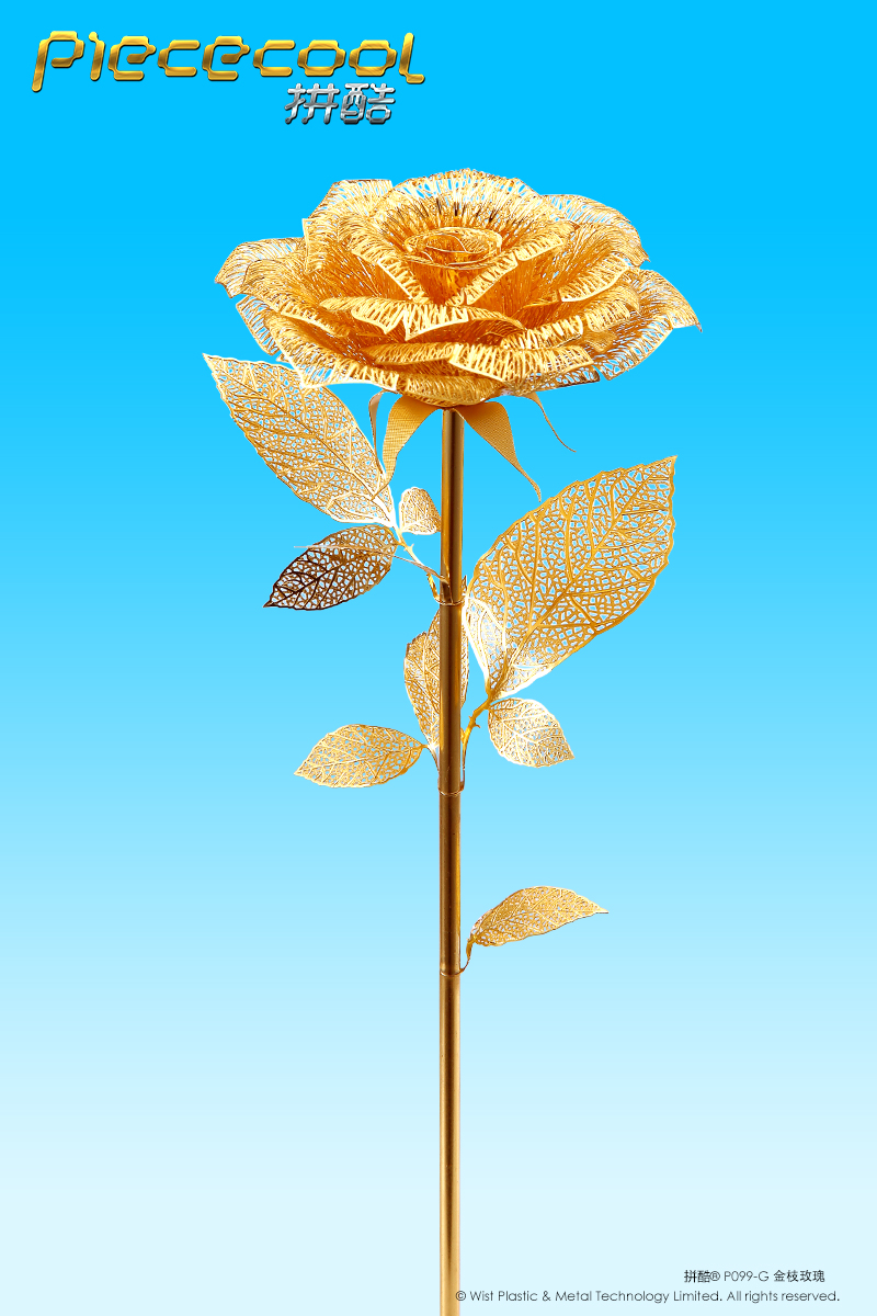 P099-G金枝玫瑰3.jpg
